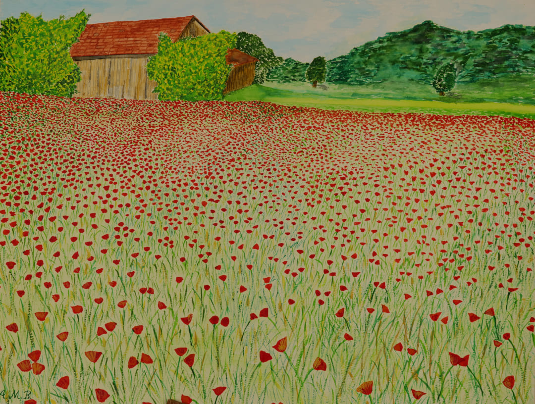 Barfuß über die Mohnblumenwiese - Ausgang-frei.de